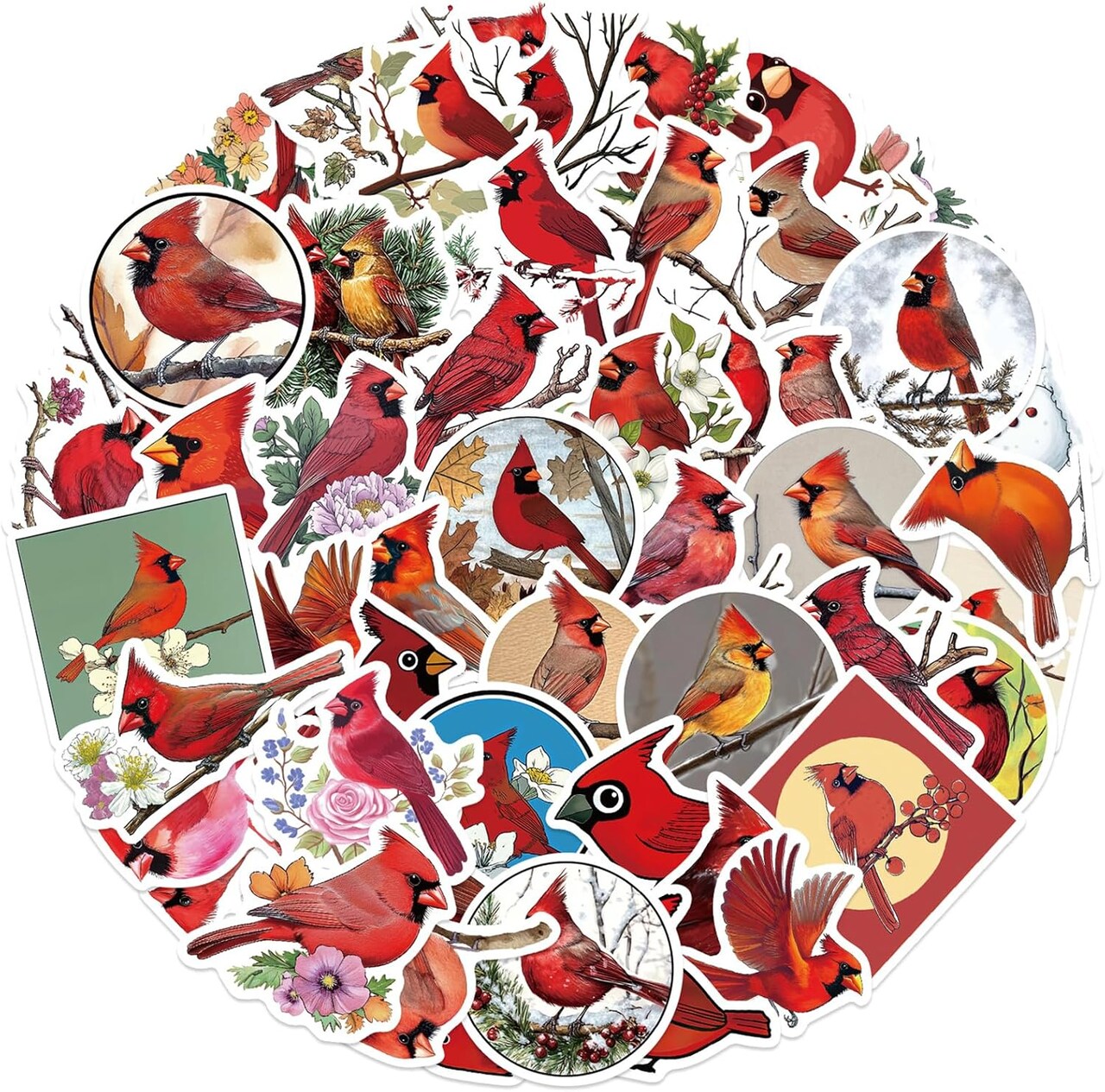 50PCS Red Cardinalis Birds Stickers, Realistic Waterproof Northern Cardinal Stickers Red Bird(Rbird)